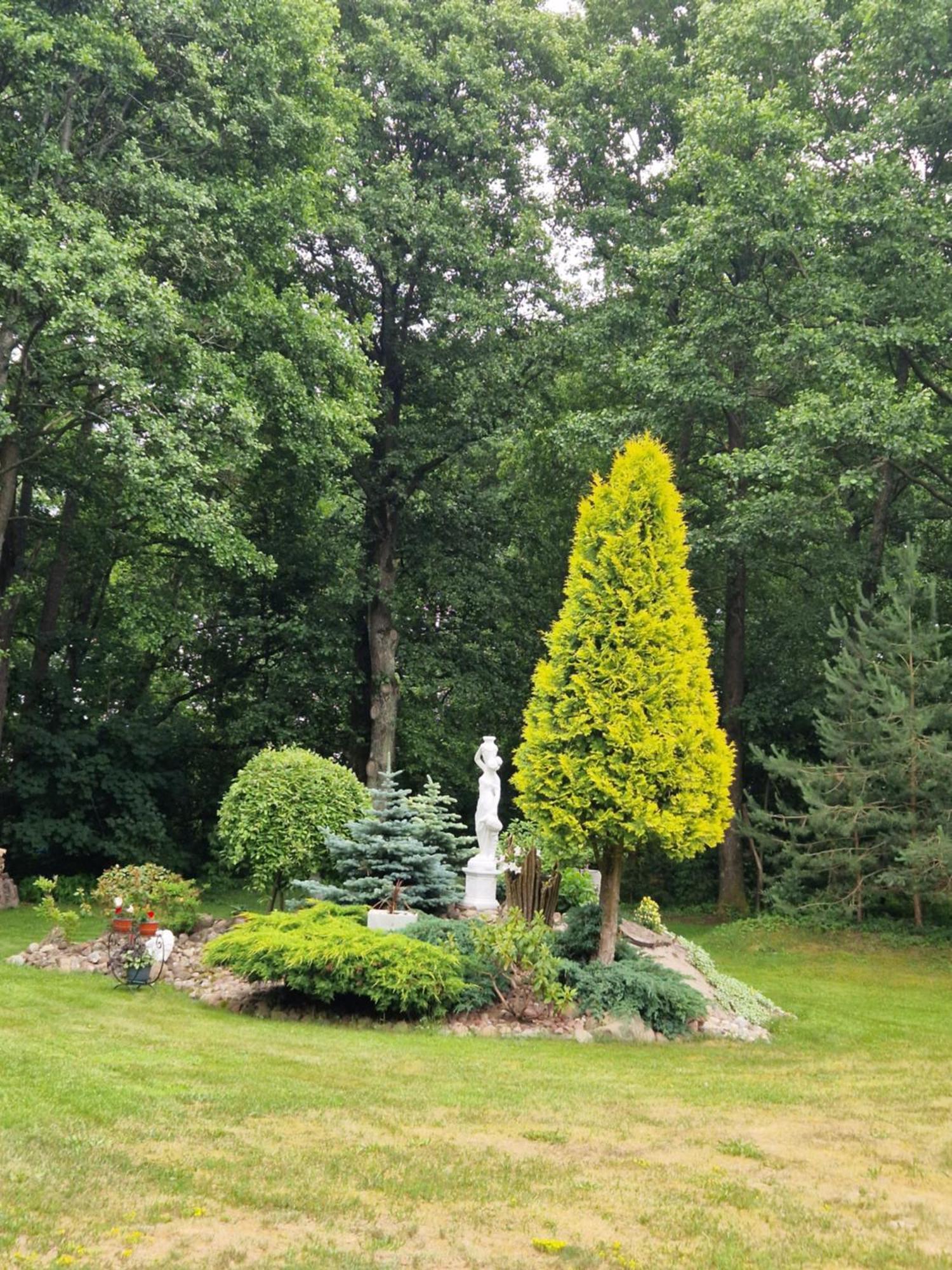 Rasos Kiemelis Villa Palanga Bagian luar foto